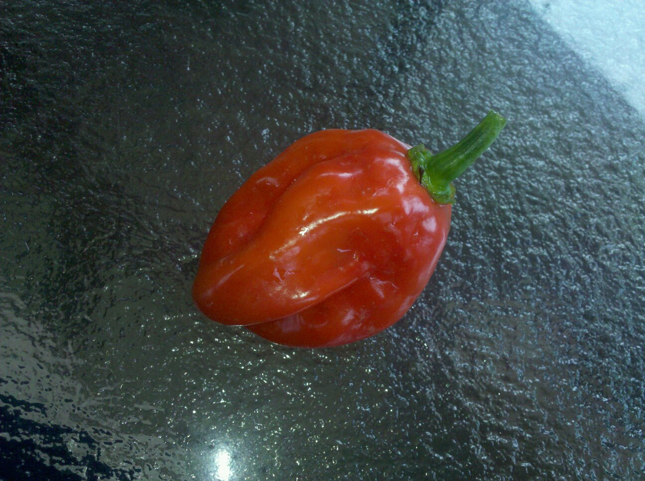 Habaneros Peppers Help You Feel the Burn, Baby