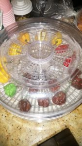 lid on food dehydrator